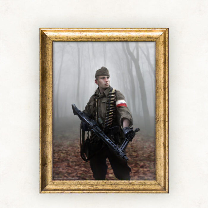 Wolnym być! Henryk Chorążak-żołnierz Armii Krajowej, 2016